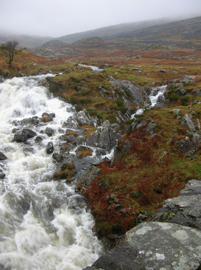 After Rain: The Healy Pass